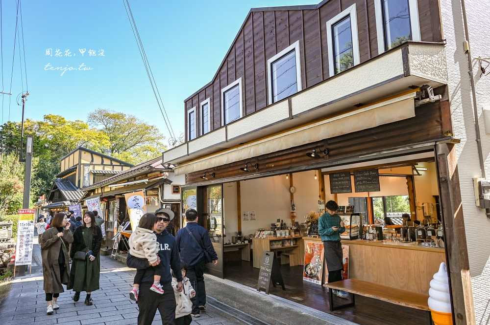 【京都近郊景點推薦】天橋立傘松公園 從胯下看昇龍觀！搭登山纜車吊椅賞絕美日本三景