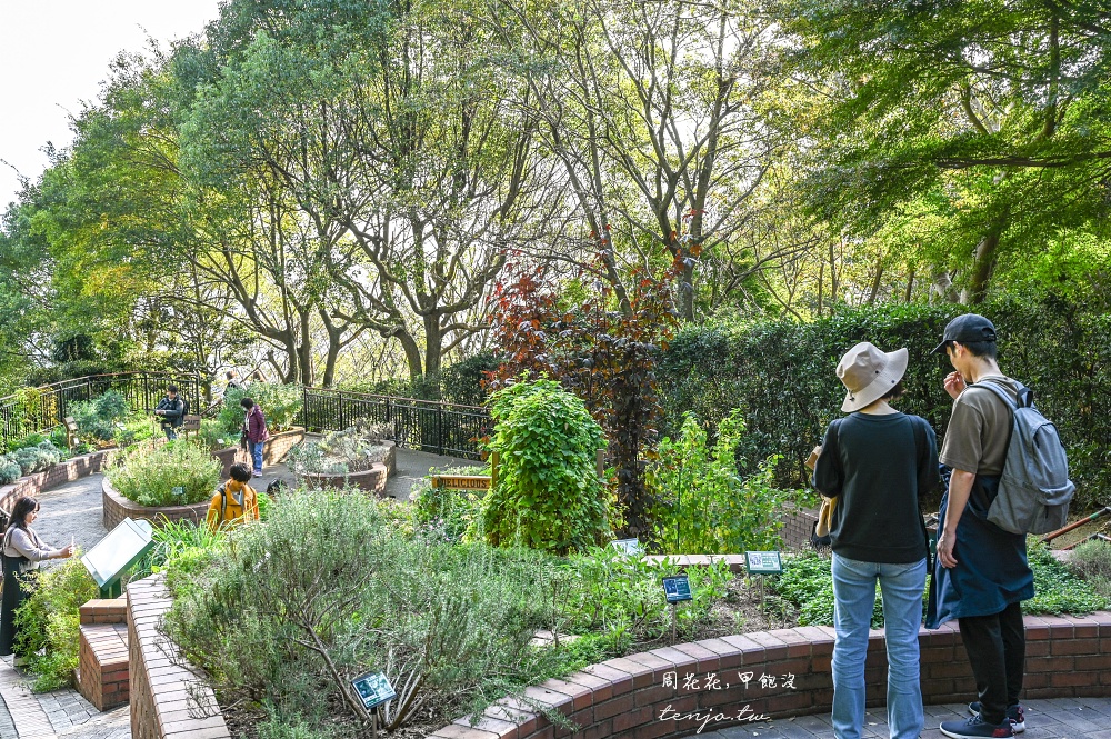 【神戶景點推薦】神戶布引香草園 日本最大香草花園！透明玻璃纜車360度眺望海景夜景
