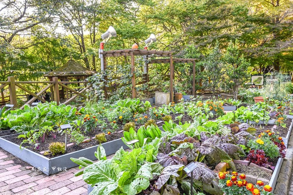 【神戶景點推薦】神戶布引香草園 日本最大香草花園！透明玻璃纜車360度眺望海景夜景