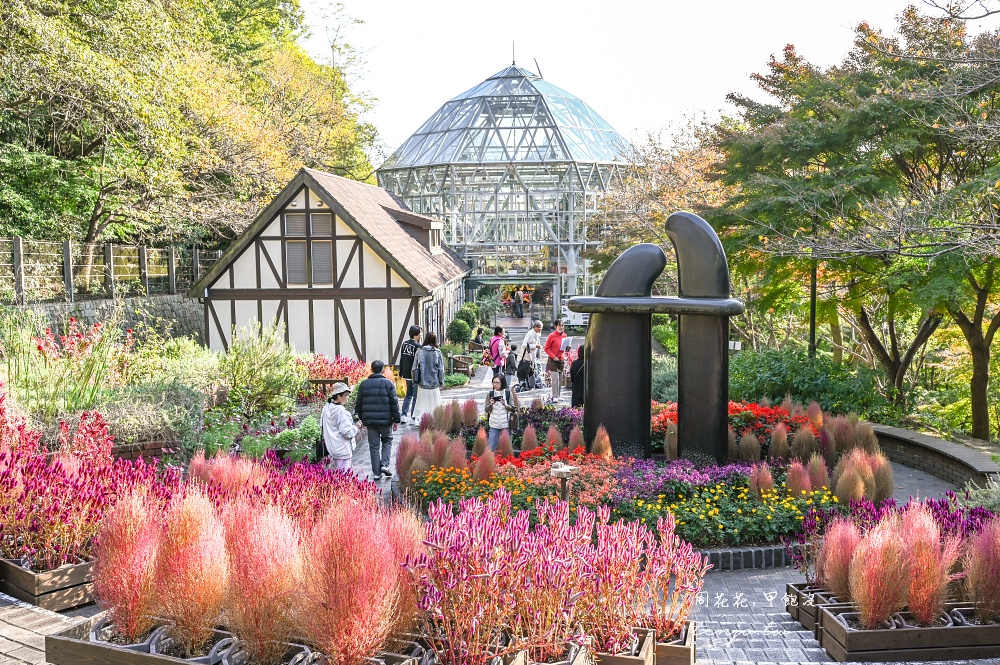 【神戶景點推薦】神戶布引香草園 日本最大香草花園！透明玻璃纜車360度眺望海景夜景