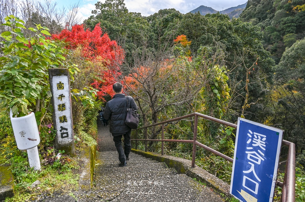 【九州景點】高千穗峽 超美宮崎秘境推薦！自由行交通攻略跟團一日遊行程規劃划船預約