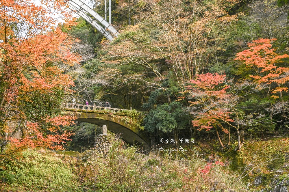 【九州景點】高千穗峽 超美宮崎秘境推薦！自由行交通攻略跟團一日遊行程規劃划船預約