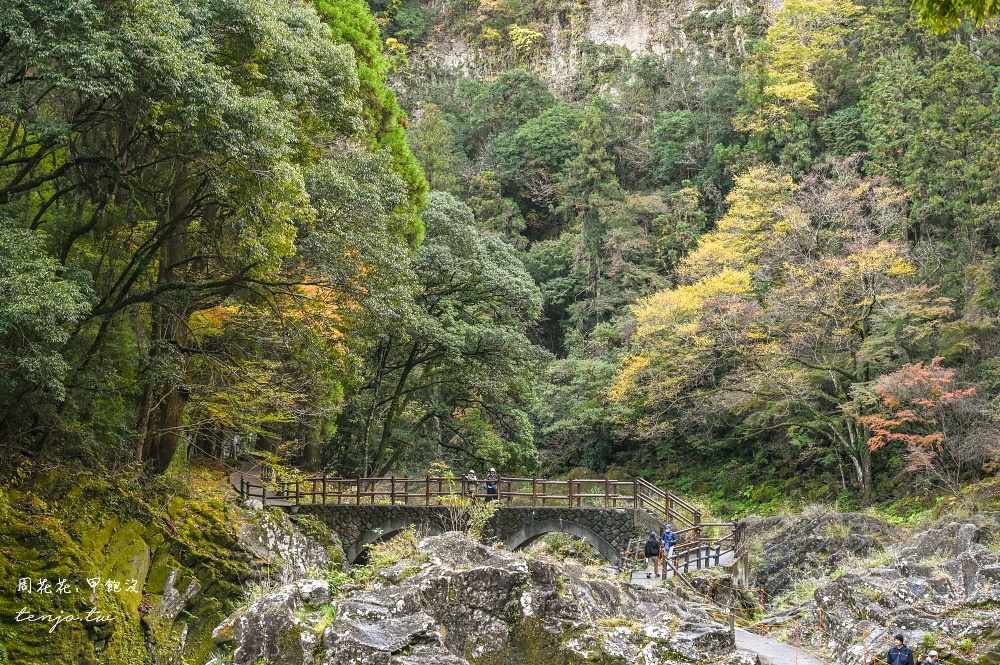 【九州景點】高千穗峽 超美宮崎秘境推薦！自由行交通攻略跟團一日遊行程規劃划船預約