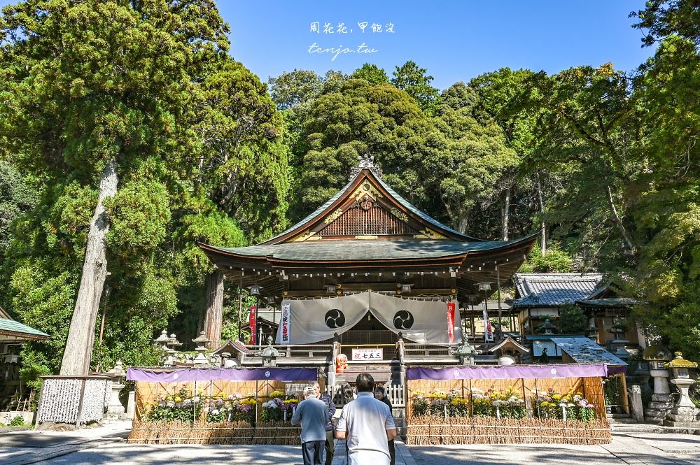 【滋賀景點】近江八幡一日遊攻略：景點地圖/美食餐廳，京都出發交通JR公車巴士怎麼搭