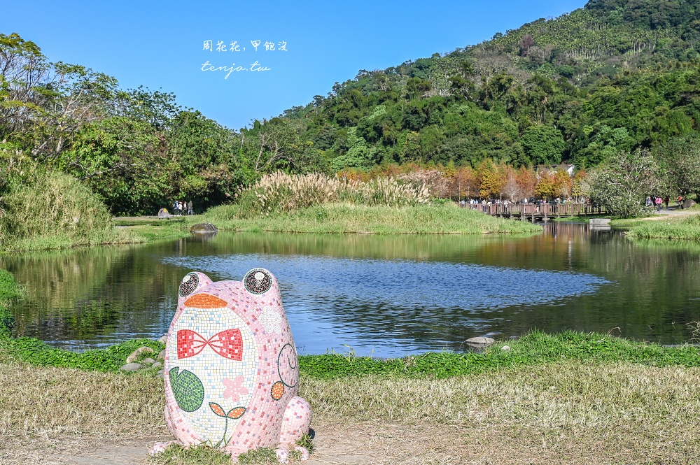 【桃園大溪景點】月眉人工濕地生態公園落羽松大道：怎麼去交通停車、附近景點美食推薦