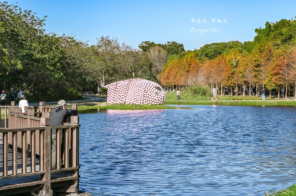 【桃園大溪景點】月眉人工濕地生態公園落羽松大道：怎麼去交通停車、附近景點美食推薦