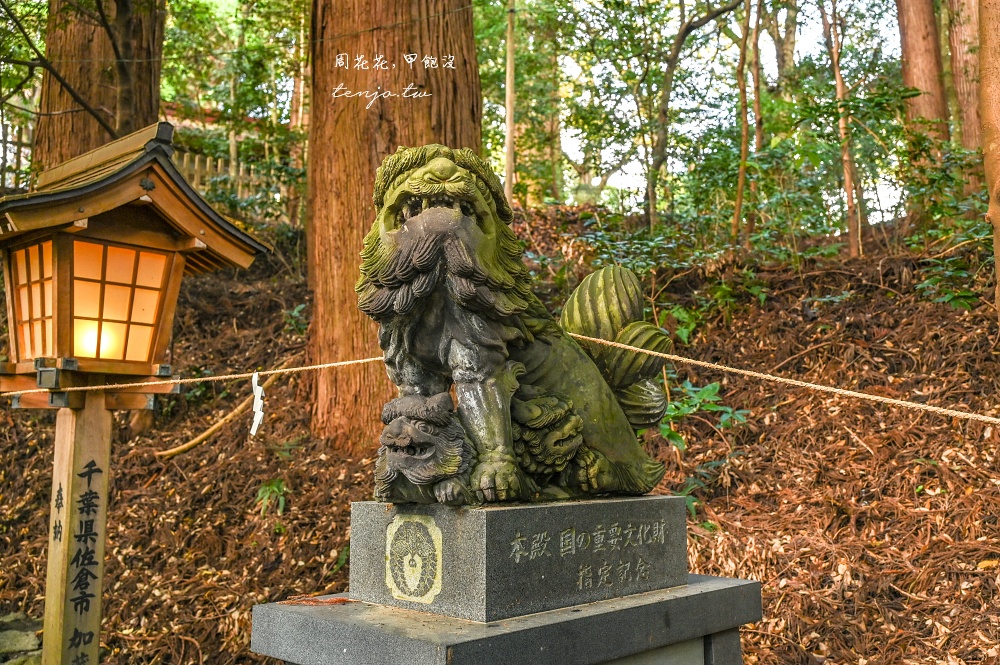 【九州宮崎景點】高千穗神社 1900年歷史古老神社！求姻緣闔家平安推薦，靠近高千穗峽