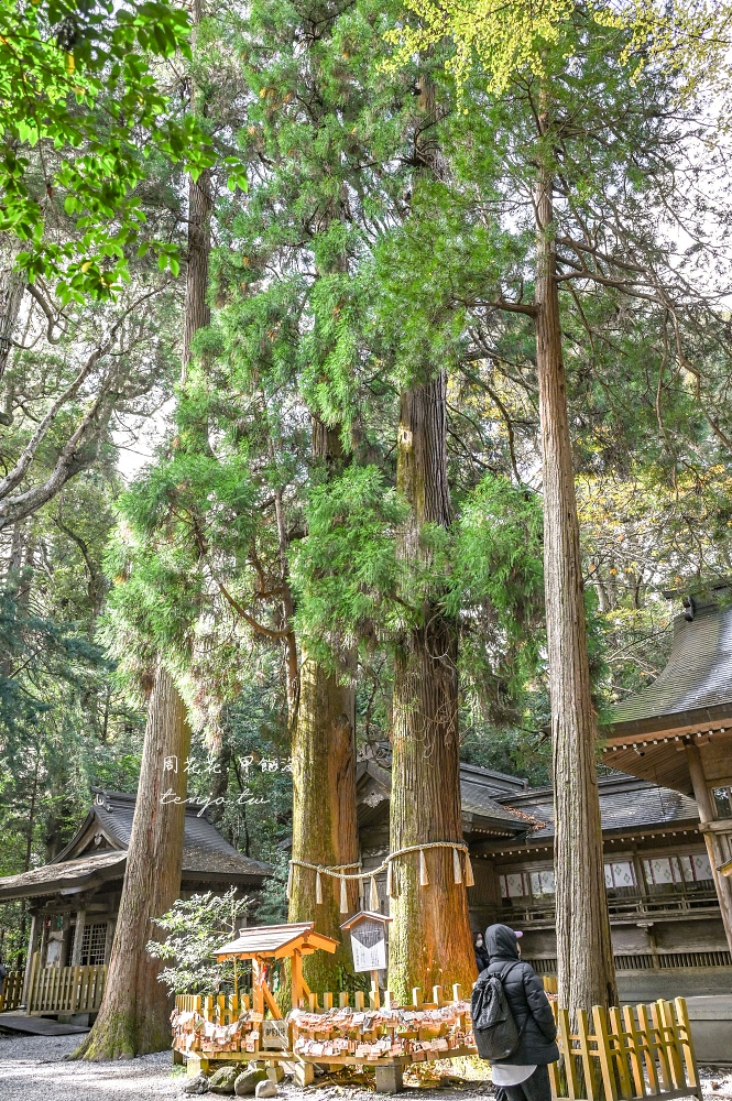 【九州宮崎景點】高千穗神社 1900年歷史古老神社！求姻緣闔家平安推薦，靠近高千穗峽