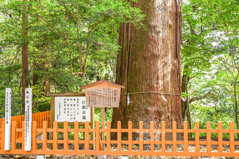 【九州宮崎景點】高千穗神社 1900年歷史古老神社！求姻緣闔家平安推薦，靠近高千穗峽