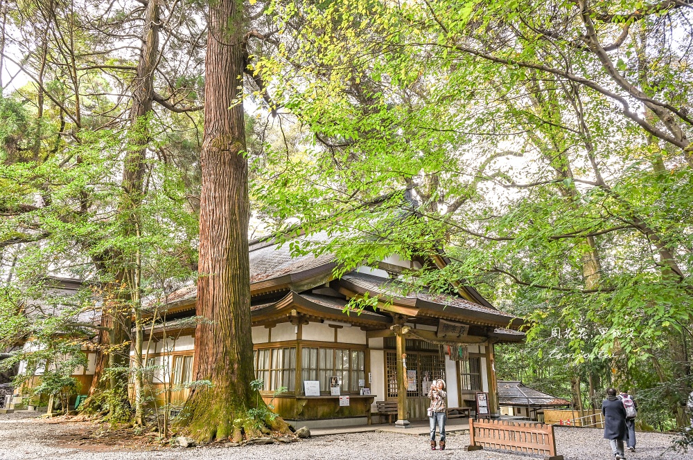 【九州宮崎景點】高千穗神社 1900年歷史古老神社！求姻緣闔家平安推薦，靠近高千穗峽