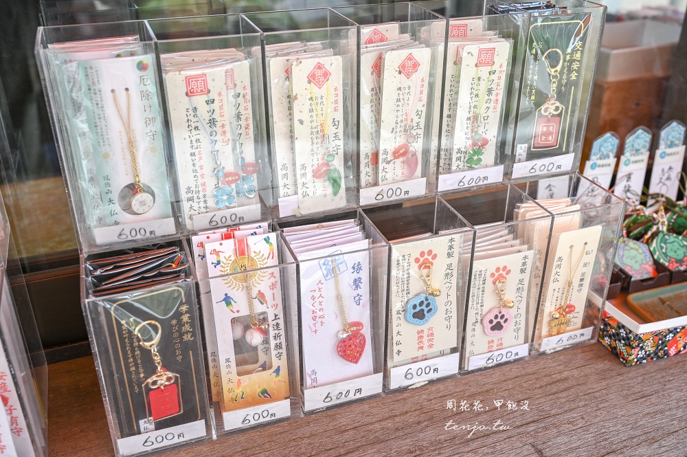 【富山高岡景點推薦】高岡大佛 日本三大佛之一！免門票免費參觀可進入青銅大佛底座參拜