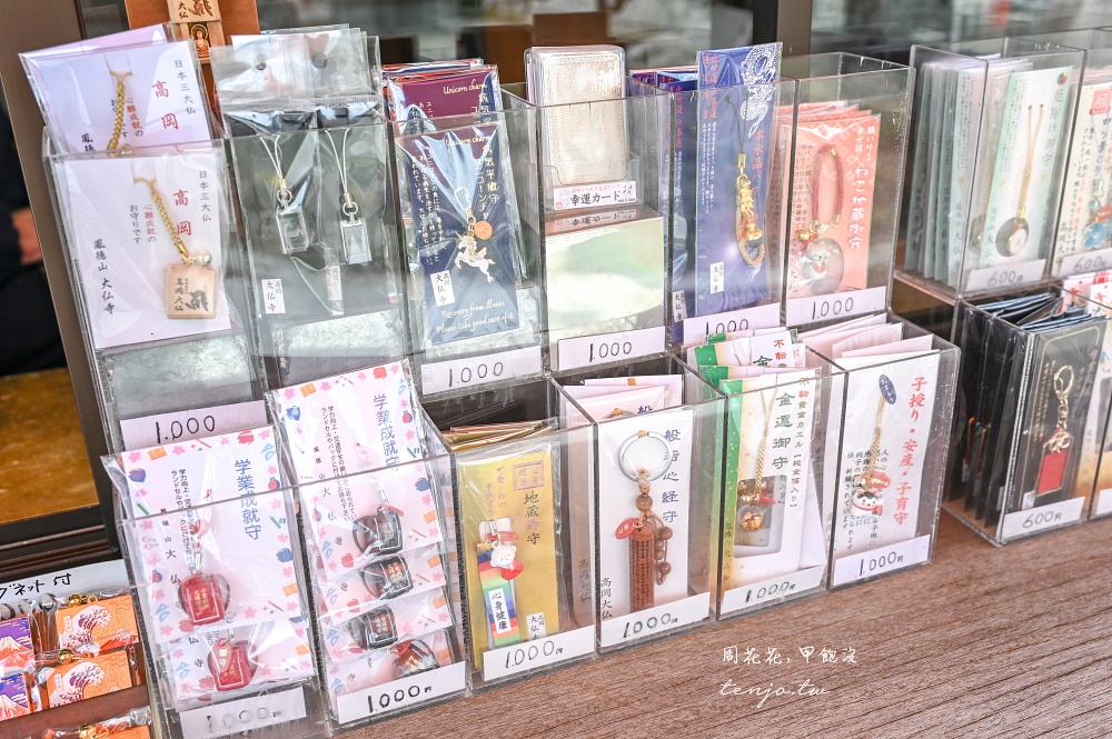 【富山高岡景點推薦】高岡大佛 日本三大佛之一！免門票免費參觀可進入青銅大佛底座參拜