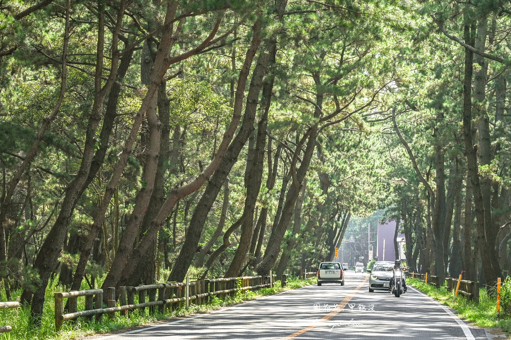 【佐賀四天三夜行程攻略】佐賀機場進出開車自駕新玩法！隱藏版佐賀景點美食地圖推薦