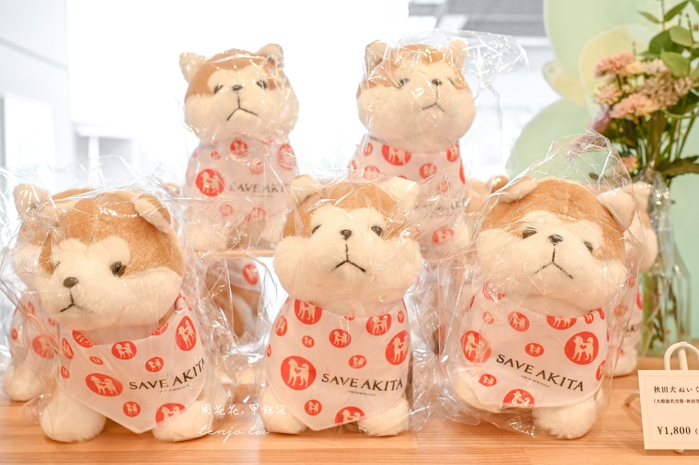 【秋田景點推薦】Akita Dog Station 週末限定秋田犬見面會！還可買到各式秋田犬周邊產品