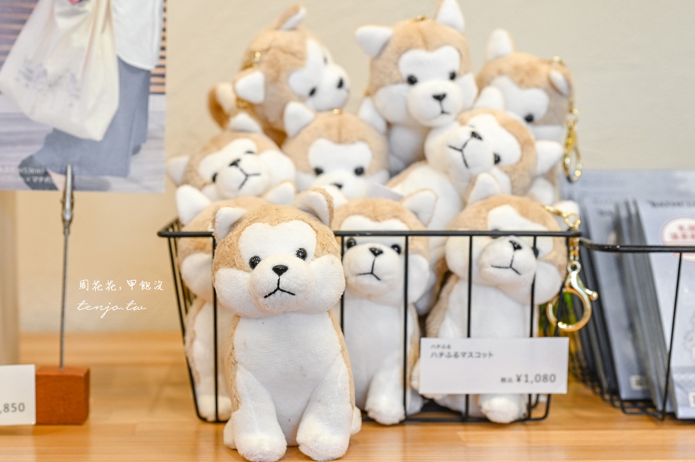 【秋田景點推薦】Akita Dog Station 週末限定秋田犬見面會！還可買到各式秋田犬周邊產品
