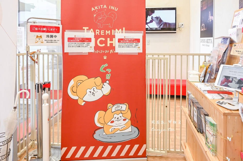 【秋田旅遊新提案】到忠犬八公故鄉尋找超可愛秋田犬！這三個秋田景點都可以看到秋田犬