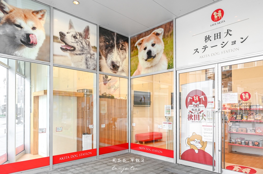 【秋田景點推薦】Akita Dog Station 週末限定秋田犬見面會！還可買到各式秋田犬周邊產品 @周花花，甲飽沒