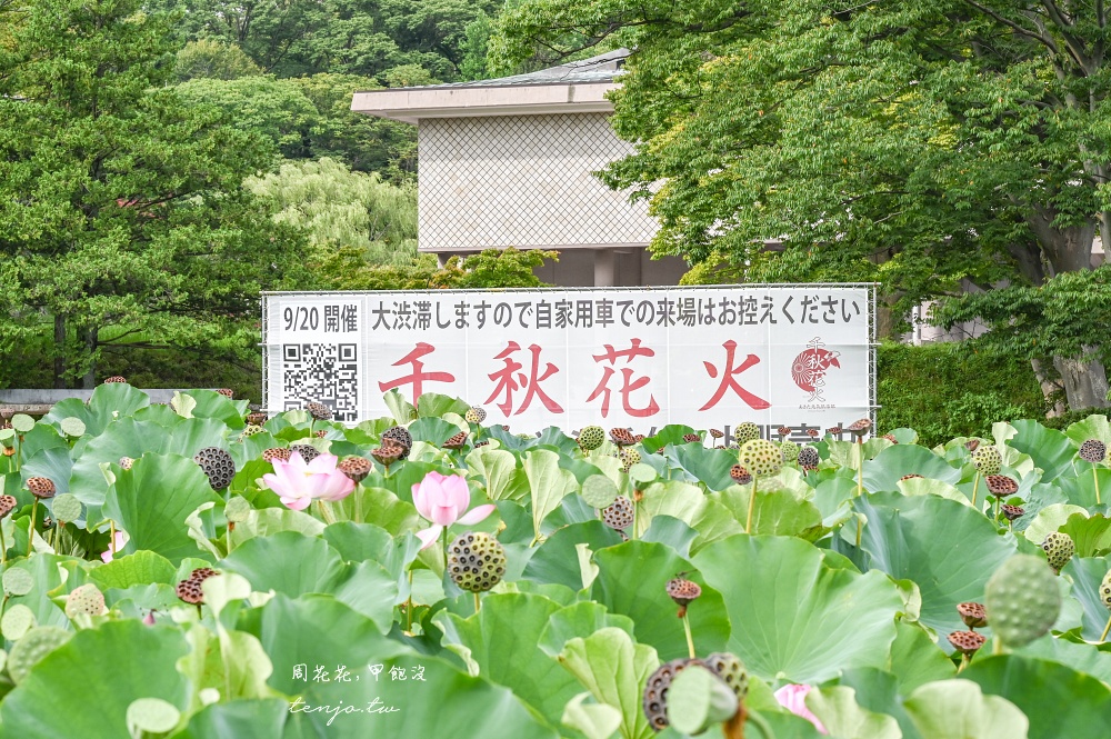 【秋田四天三夜行程規劃】台灣虎航直飛秋田機場！夏天秋天冬天秋田景點美食地圖全攻略