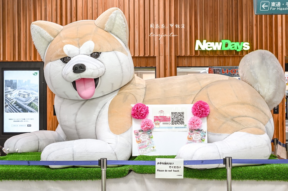 【秋田四天三夜行程規劃】台灣虎航直飛秋田機場！夏天秋天冬天秋田景點美食地圖全攻略