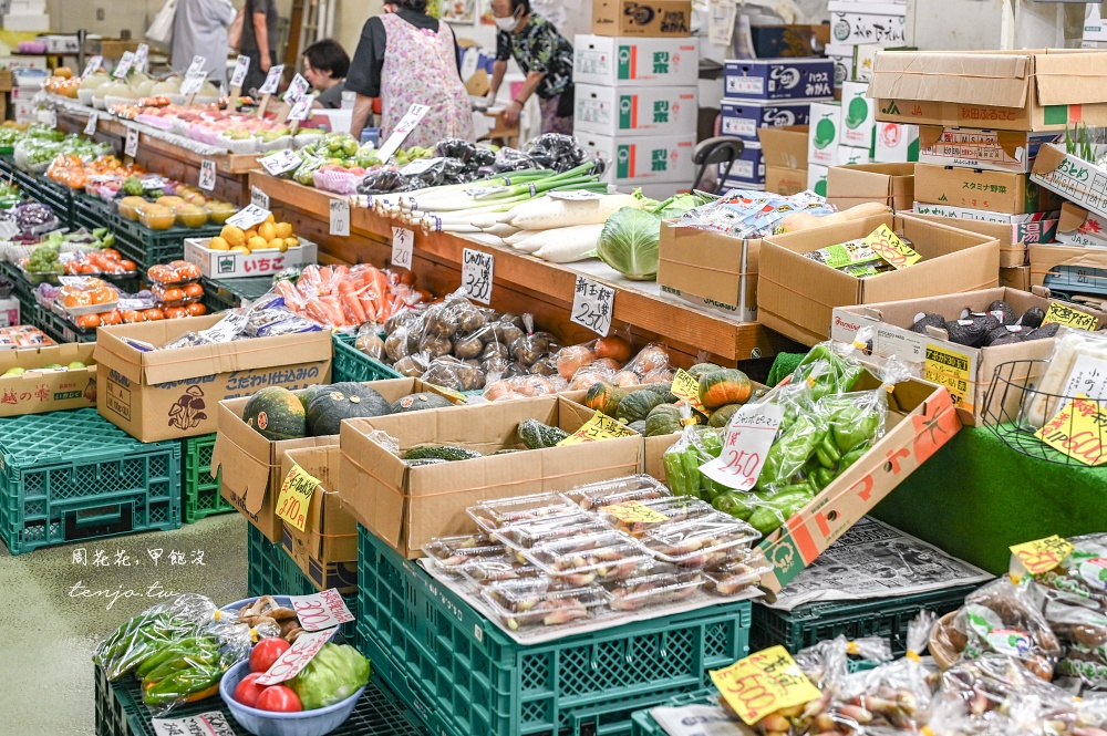 【秋田四天三夜行程規劃】台灣虎航直飛秋田機場！夏天秋天冬天秋田景點美食地圖全攻略