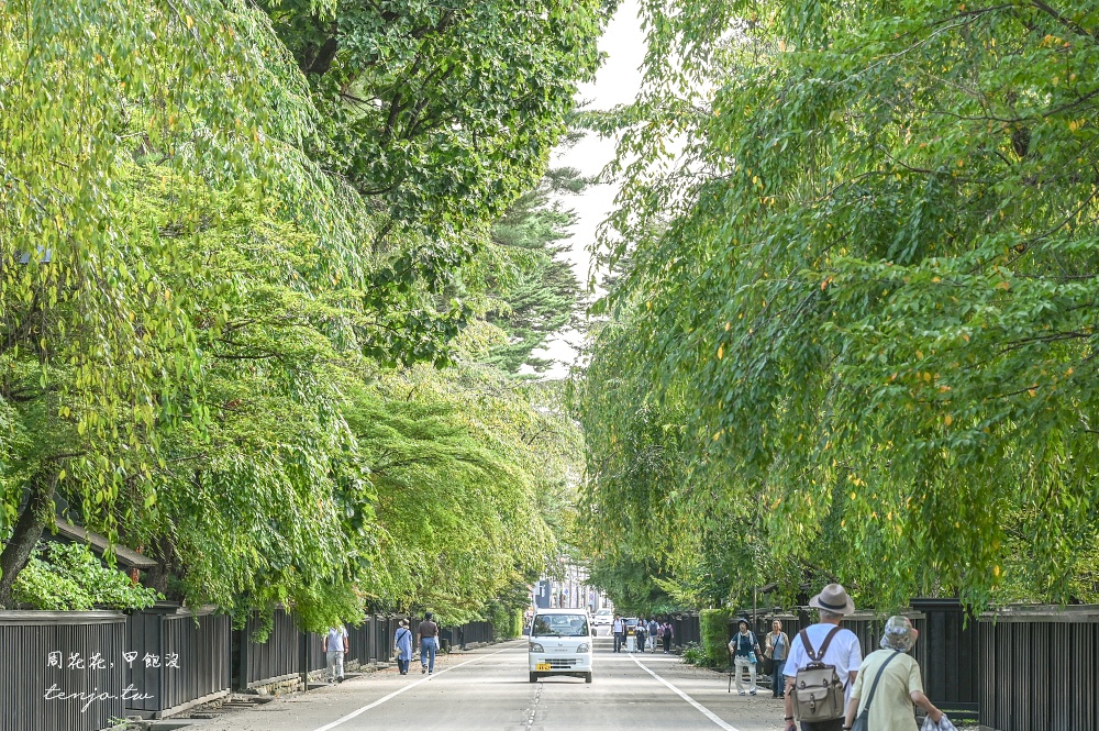 【秋田四天三夜行程規劃】台灣虎航直飛秋田機場！夏天秋天冬天秋田景點美食地圖全攻略