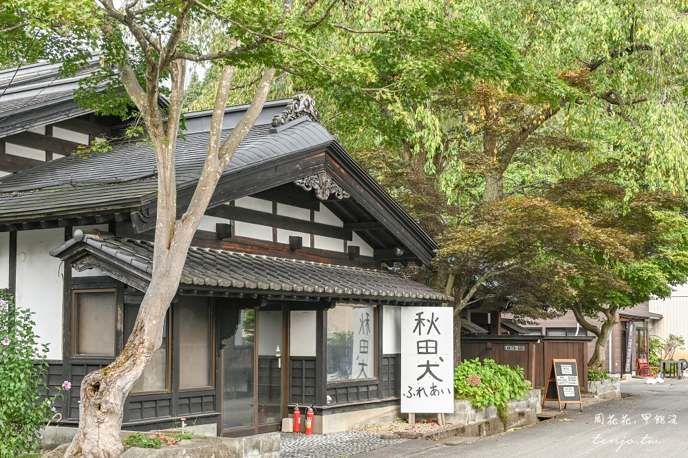 【角館住宿推薦】緣Enishi 超可愛秋田犬民宿！50年古民家改建和秋田犬互動還能帶去散步