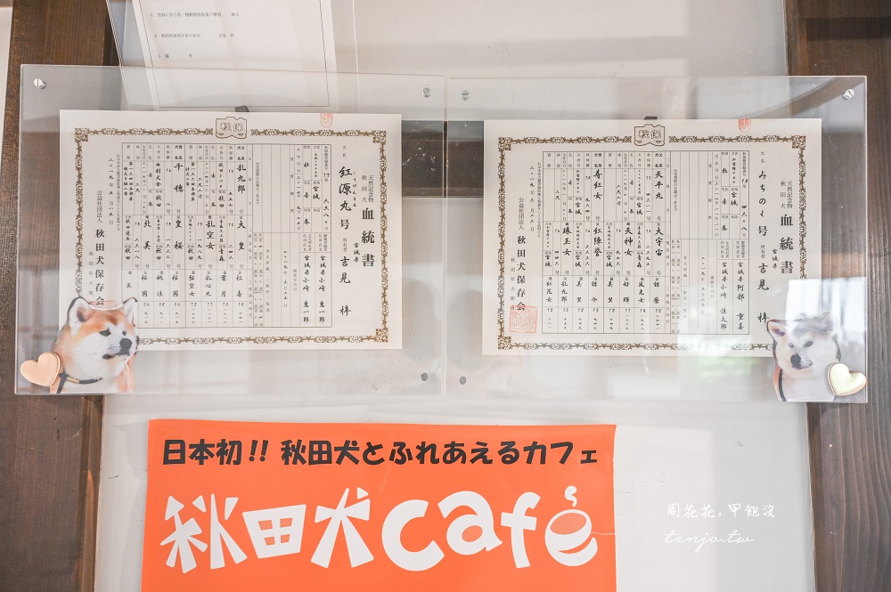 【角館住宿推薦】緣Enishi 超可愛秋田犬民宿!50年古民家改建和秋田犬互動還能帶去散步 【角館住宿推薦】緣Enishi 超可愛秋田犬民宿!50年古民家改建和秋田犬互動還能帶去散步