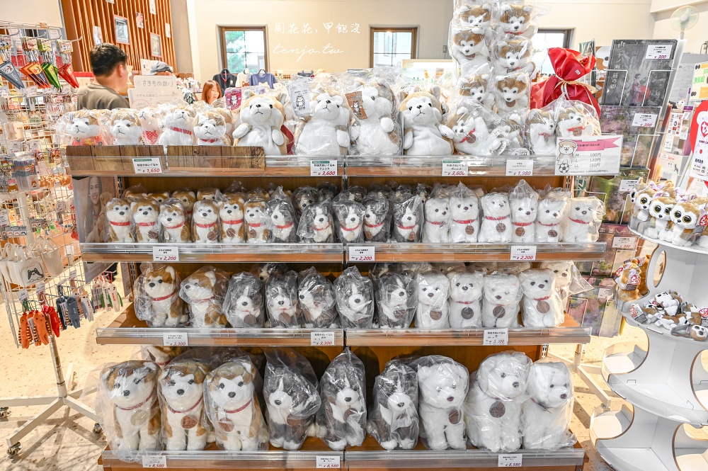 【秋田旅遊新提案】到忠犬八公故鄉尋找超可愛秋田犬！這三個秋田景點都可以看到秋田犬