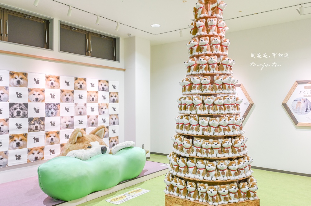 【秋田四天三夜行程規劃】台灣虎航直飛秋田機場！夏天秋天冬天秋田景點美食地圖全攻略