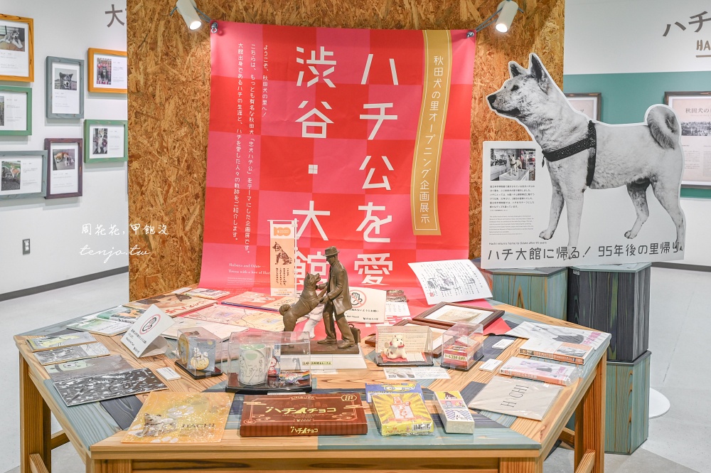 【秋田旅遊新提案】到忠犬八公故鄉尋找超可愛秋田犬！這三個秋田景點都可以看到秋田犬