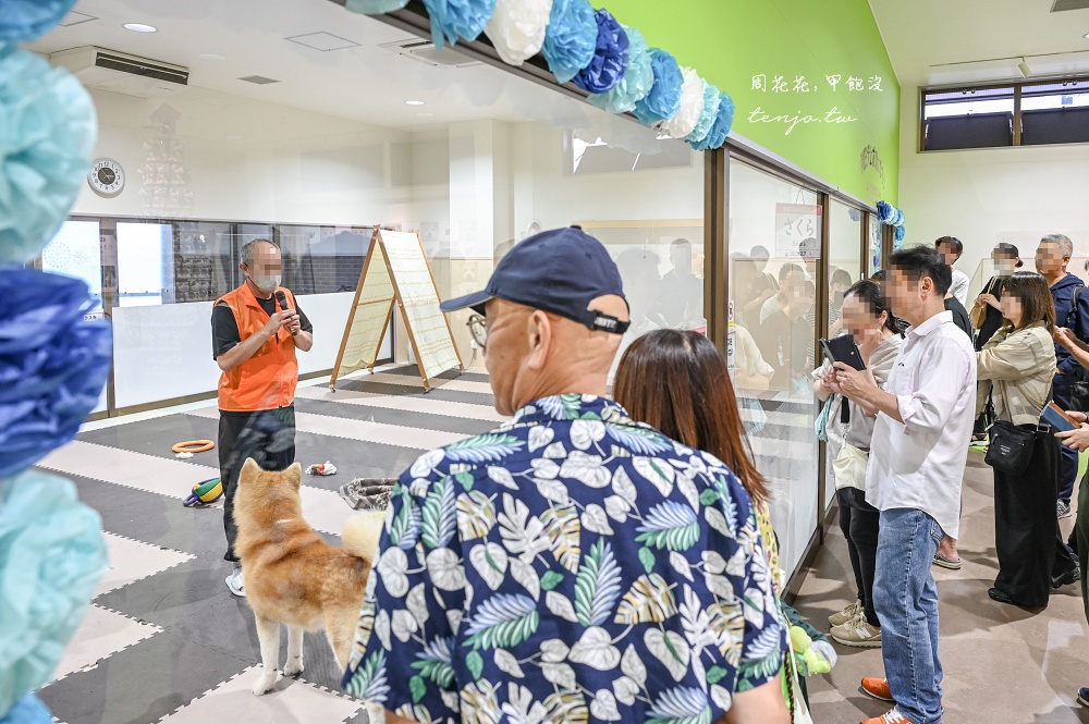 【秋田旅遊新提案】到忠犬八公故鄉尋找超可愛秋田犬！這三個秋田景點都可以看到秋田犬