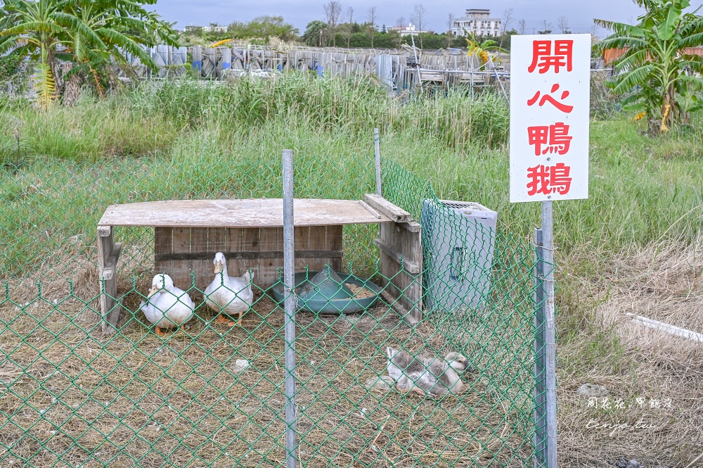 【宜蘭壯圍景點】宜蘭冰棒土地公順風宮 拜拜免費吃冰吃到飽！一整櫃超多口味隨你自己拿
