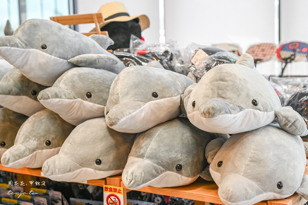 【熊本景點】天草賞海豚 不限時間季節看見海豚機率90%!交通船票費用預約一日遊攻略 【熊本景點】天草賞海豚 不限時間季節看見海豚機率90%!交通船票費用預約一日遊攻略