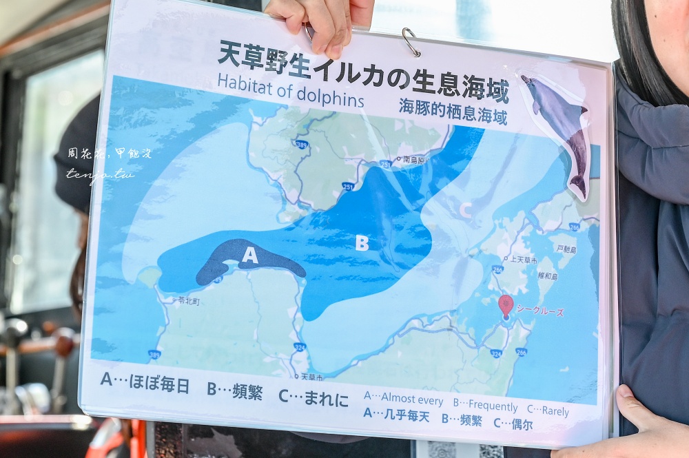 【熊本景點】天草賞海豚 不限時間季節看見海豚機率90%!交通船票費用預約一日遊攻略 【熊本景點】天草賞海豚 不限時間季節看見海豚機率90%!交通船票費用預約一日遊攻略