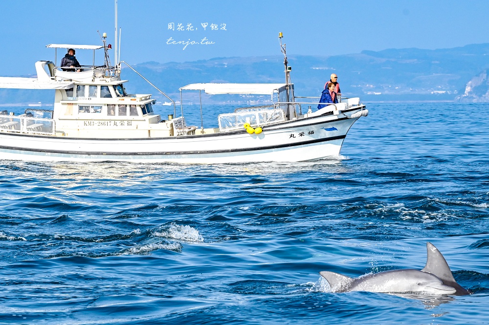 【熊本景點】天草賞海豚 不限時間季節看見海豚機率90%!交通船票費用預約一日遊攻略 【熊本景點】天草賞海豚 不限時間季節看見海豚機率90%!交通船票費用預約一日遊攻略