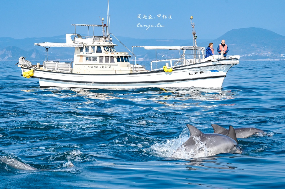 【熊本景點】天草賞海豚 不限時間季節看見海豚機率90%!交通船票費用預約一日遊攻略 【熊本景點】天草賞海豚 不限時間季節看見海豚機率90%!交通船票費用預約一日遊攻略
