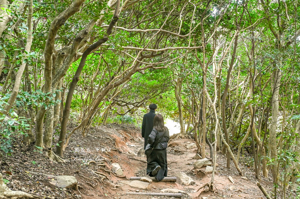 【福岡景點】糸島龍貓森林 走進宮崎駿電影裡龍貓森林步道！芥屋大門公園隱藏景點推薦