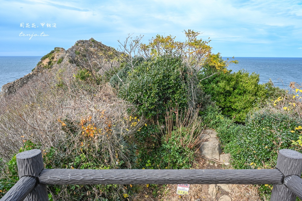 【福岡景點】糸島龍貓森林 走進宮崎駿電影裡龍貓森林步道！芥屋大門公園隱藏景點推薦