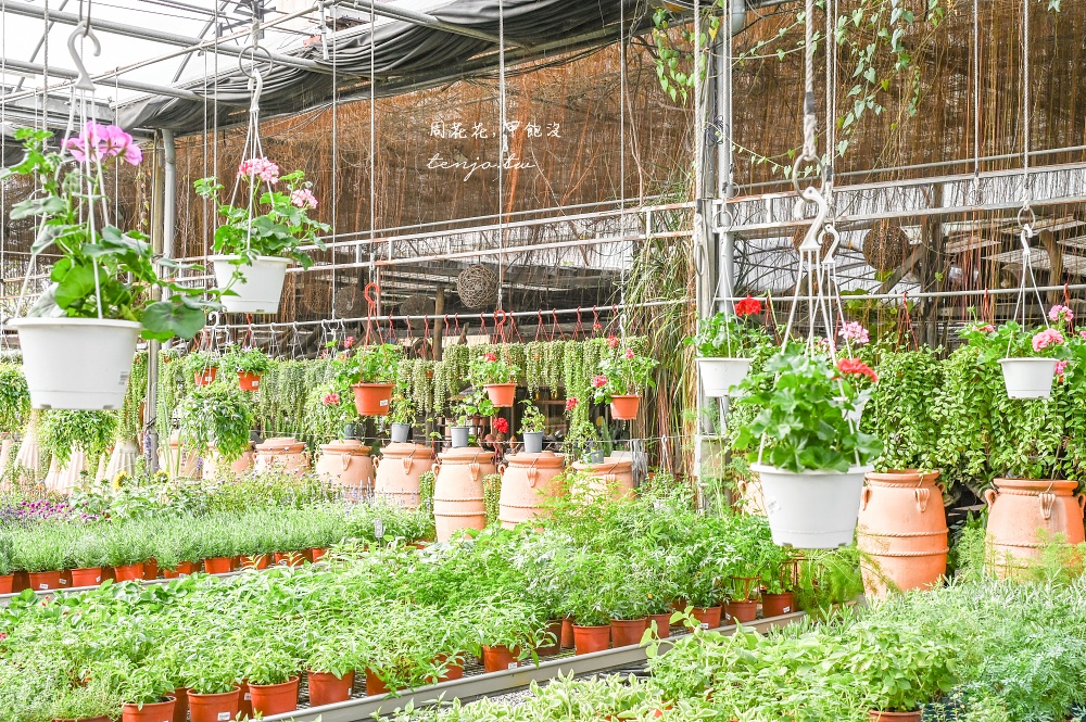 【台北花卉村】森林派對咖啡館 台北森林系咖啡廳推薦!低消80元交通方便有免費停車場 【台北花卉村】森林派對咖啡館 台北森林系咖啡廳推薦!低消80元交通方便有免費停車場