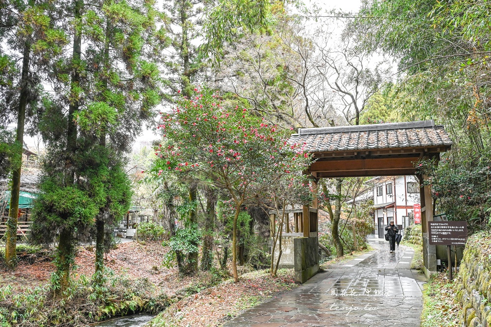 【熊本景點美食】白川水源 南阿蘇鐵道一日遊景點推薦！日本名水百選水質甘甜可直接生飲