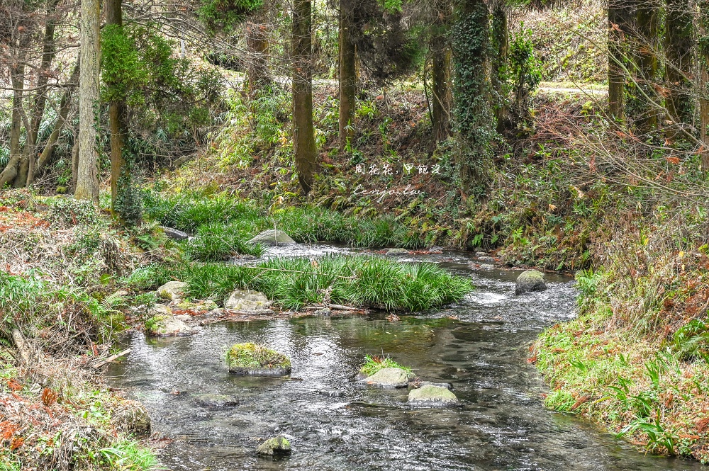 【熊本景點美食】白川水源 南阿蘇鐵道一日遊景點推薦！日本名水百選水質甘甜可直接生飲