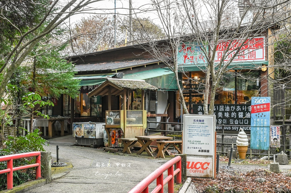 【熊本景點美食】白川水源 南阿蘇鐵道一日遊景點推薦！日本名水百選水質甘甜可直接生飲