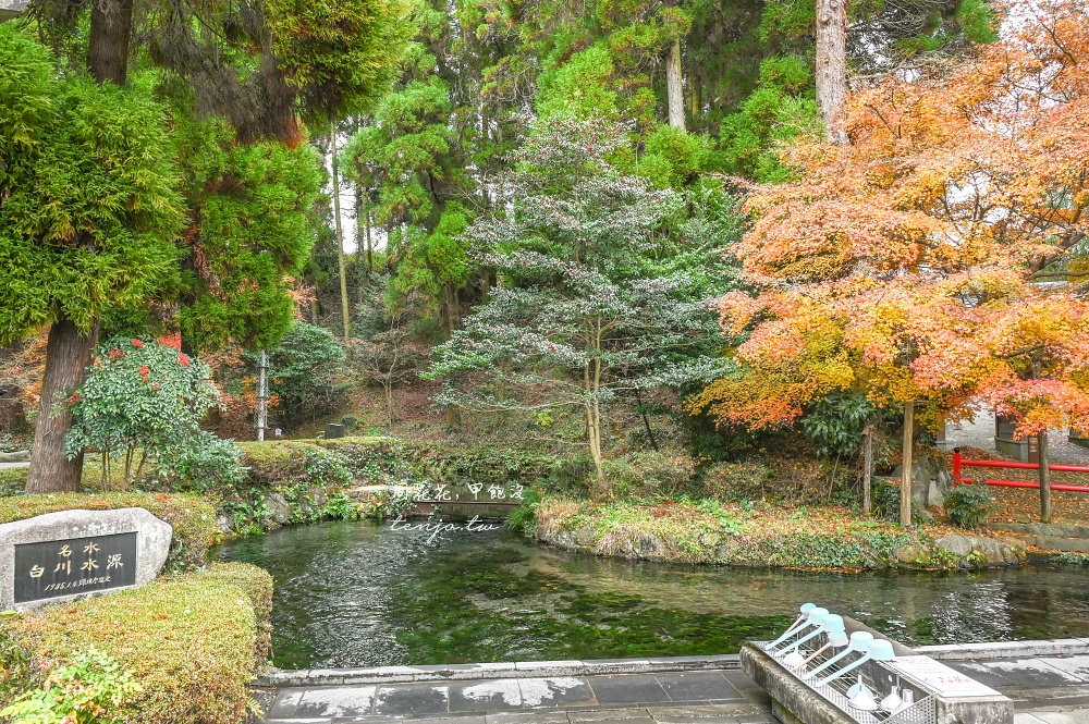 【熊本景點美食】白川水源 南阿蘇鐵道一日遊景點推薦！日本名水百選水質甘甜可直接生飲