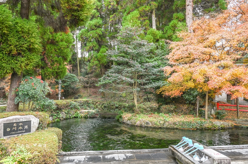 【大九州旅遊攻略】台灣虎航+JR九州鐵路周遊券 九天八夜行程規劃:宮崎/鹿兒島/熊本/佐賀/長崎/福岡 【大九州旅遊攻略】台灣虎航+JR九州鐵路周遊券 九天八夜行程規劃:宮崎/鹿兒島/熊本/佐賀/長崎/福岡