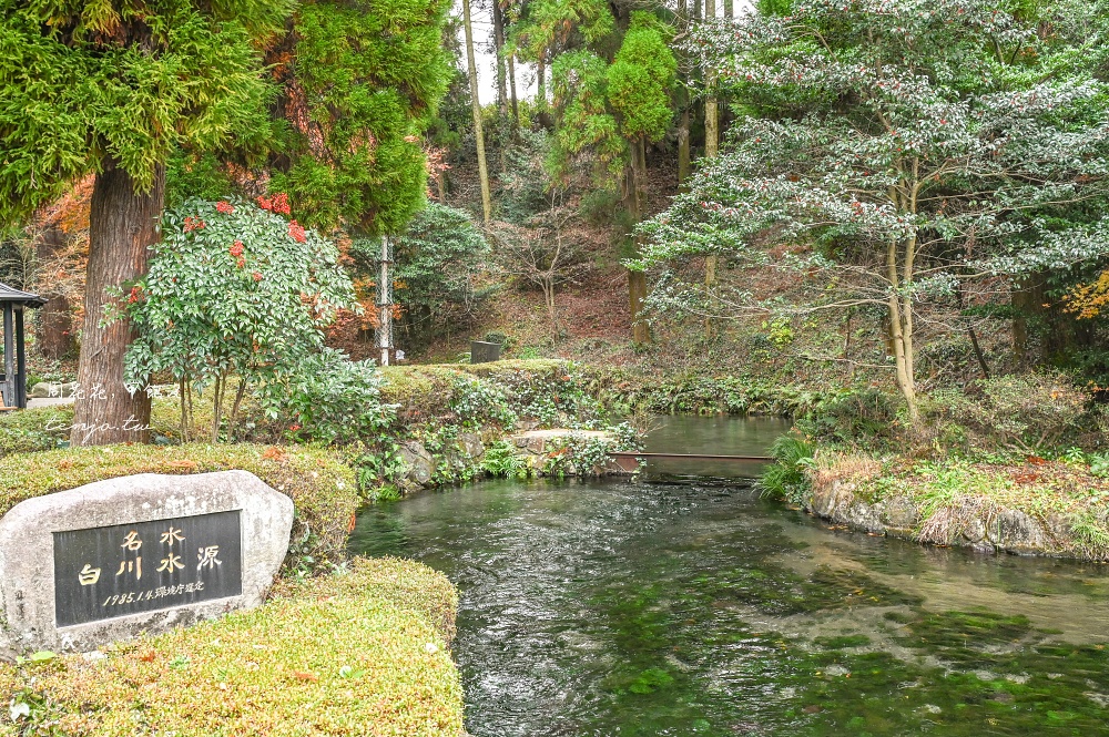 【熊本景點美食】白川水源 南阿蘇鐵道一日遊景點推薦！日本名水百選水質甘甜可直接生飲 @周花花，甲飽沒