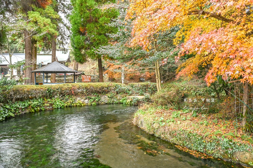 【熊本景點美食】白川水源 南阿蘇鐵道一日遊景點推薦！日本名水百選水質甘甜可直接生飲