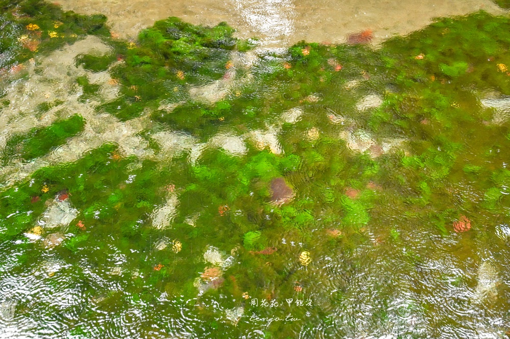 【熊本景點美食】白川水源 南阿蘇鐵道一日遊景點推薦！日本名水百選水質甘甜可直接生飲