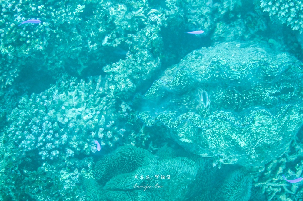 【石垣島景點】川平灣玻璃船 米其林三星景點推薦！搭乘獨家冷氣遊船尋找海龜熱帶魚珊瑚