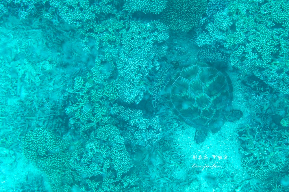 【石垣島景點】川平灣玻璃船 米其林三星景點推薦！搭乘獨家冷氣遊船尋找海龜熱帶魚珊瑚