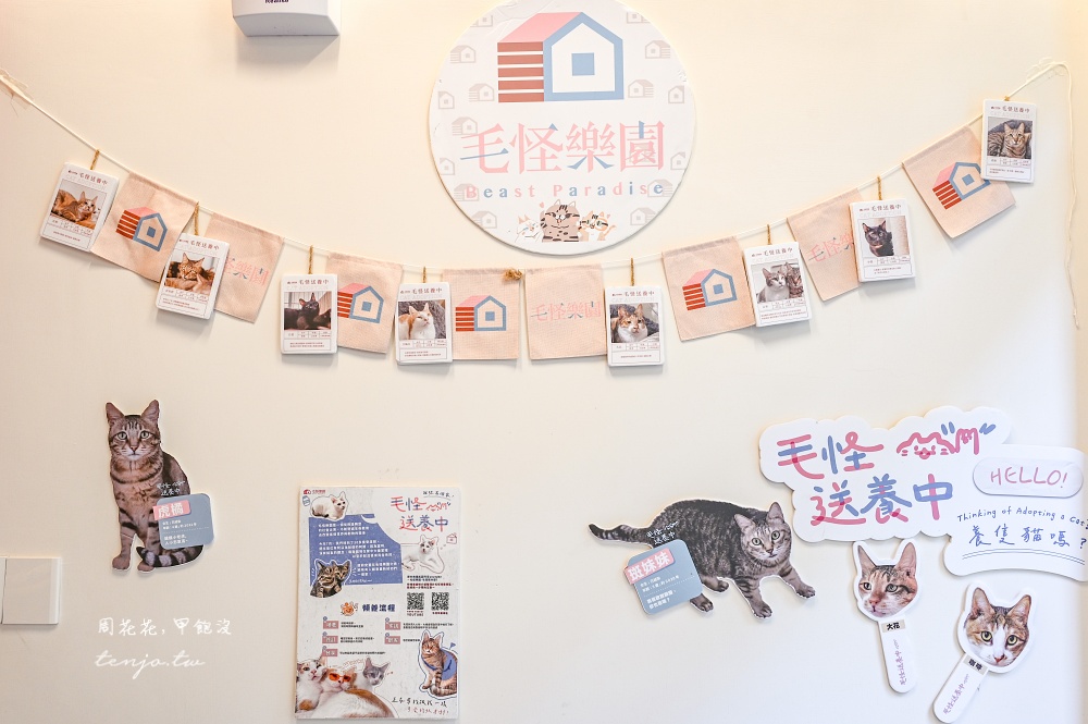 【寵佑宮】台灣第一間寵物專屬宮廟！保生大帝保佑毛小孩健康平安台北寵物友善宮廟推薦